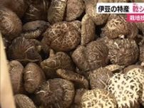 伊豆の名産“乾シイタケ”品評会　栽培技術向上へ　27点を形や色光沢など審査　静岡