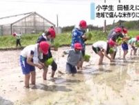 小学生　田植えに挑戦　地域で盛んな米作り学ぶ　静岡・掛川市