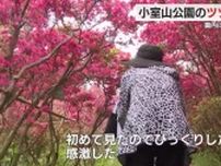 小室山公園には40品種10万本のツツジ…色鮮やかに咲き誇り香り立つ姿に観光客も感激　静岡