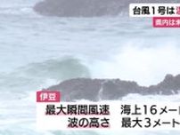 台風1号は温帯低気圧に…県内は31日未明から全域で雨　伊豆では強風・波浪注意報続く　静岡