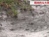 静岡県内　局地的な大雨や突風に注意を　大気の状態不安定