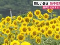 24日も県内各地で猛暑日に…「元気をもらえた気がします」　夏の花ヒマワリ7000本が満開に　静岡