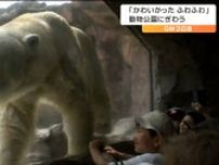 ゴールデンウイークの動物園　子どもも、ホッキョクグマもお互いに興味津々　仙台