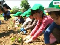 「掘るのは簡単だけど植えるのが難しい」保育園児がサツマイモの苗を植える　宮城・白石市