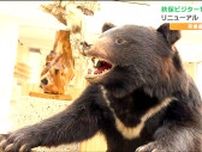 鋭い爪に驚きクマの剥製が間近に「秋保ビジターセンター」リニューアルで自然をより身近に