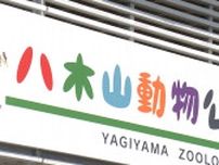 【速報】八木山動物公園でオスのレッサーパンダ「ヤンヤン」が展示場から一時脱走　捕獲の際に職員1人けが　仙台