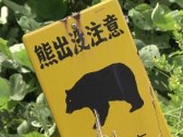 「目の前にクマが飛び出してきた」軽ワゴン車とクマが衝突　けが人なし　仙台