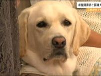 「外に出ることがすごく増えた」目の不自由な人と“バディ”盲導犬が新生活　約7年間の門出を祝う　仙台