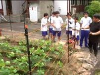 「動物たちと共存していかなきゃ」サル被害防ぐため中学生が枝豆畑に電気柵を設置　宮城・七ヶ宿町