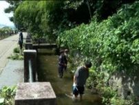 「梅花藻は白石にとって大切なもの」高校生が川でゴミ拾いして梅花藻の保全活動 宮城・白石市