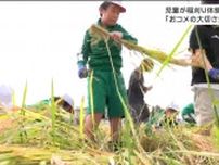 「いつも食べているおコメの大切さがさらに分かった」自分たちが田植えをした稲の刈り取り　柴田町の小学校　宮城