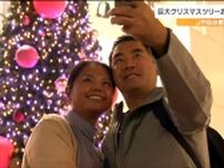 「仙台駅を通るたびに楽しみになります」高さ6メートルのクリスマスツリーが登場　4000個のLED電球