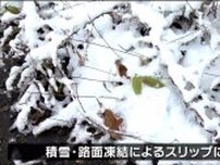 仙台で初雪を観測　平年より1日早い　標高の高い峠道ではスリップに注意