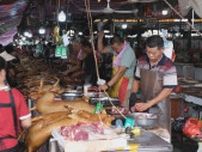 犬肉を食べるのは伝統文化か、動物虐待か？中国の「犬肉祭り」に行ってみた