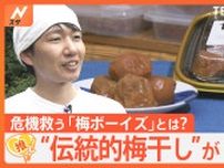 “伝統的梅干し”がピンチに、日本一の梅産地で立ち上がった「梅ボーイズ」とは？【ゲキ推しさん】