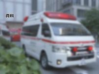 東京都内の熱中症での救急搬送者は119人