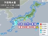九州〜東海　夜の帰宅時間帯は広く雨　激しく降る所も　あす4日は関東も傘の出番
