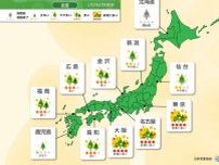 花粉情報　今日29日は近畿〜関東甲信で大量飛散　西から雨エリア拡大も油断せず