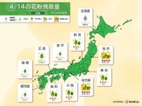 花粉情報　14日も花粉は大量飛散　今週は東京でも花粉シーズンの終わり近づく