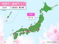 秋田で桜が満開　青森県の弘前公園でも桜開花　桜前線は4月下旬には北海道へ