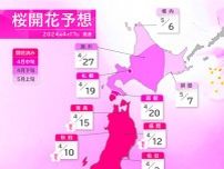 最新の桜開花・満開予想　桜前線は北海道を北上　札幌は19日に開花予想