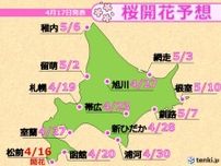 北海道の最新桜開花予想　函館より札幌が先に開花か