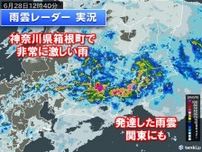 箱根で1時間に50ミリ以上の滝のような雨　強雨エリアは関東へ　帰宅時間帯を直撃