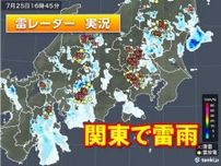 関東で雷雨　帰宅時間帯に天気急変の恐れ