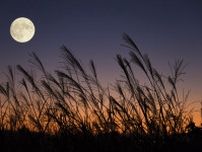 「アンタレス食」に「中秋の名月」。秋の夜空を彩る月を楽しもう