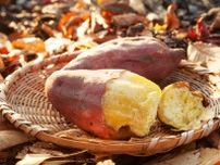 山頂で秋の味覚を思いっきり楽しんでみませんか？『鮭・きのこ・さつま芋』を使った登山飯のレシピ