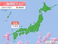 一人暮らし必見！秋の夜長に罪悪感が少ない、ヘルシーで簡単なメニューはいかが♪
