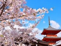 春の京都を満喫！「桜まつり」「夜桜ライトアップ」を楽しめるお花見スポット4選