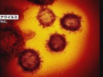 【速報】新潟市で１１９人程度感染確認　障がい者施設関連でクラスター　新型コロナウイルス