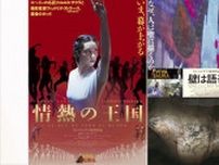 カルロス・サウラ監督が遺した「情熱の王国」「壁は語る」追悼上映 @渋谷ユーロ・スペース