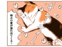 【漫画】赤ちゃん猫 ウニちゃん登場「特大の愛があふれてくる！」／うちの猫は仲が悪い(3)