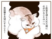 【漫画】赤ちゃん猫にメロメロな飼い主 でも2匹目を迎えたときに大切なのは…／うちの猫は仲が悪い(4)