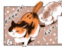 【漫画】猫がなかなか寝てくれない…気まぐれ猫たちとの真夜中の闘い／うちの猫は仲が悪い(8)
