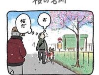 【漫画】桜と犬のツーショットが撮れる“おすすめスポット”を教えてくれたおじさんに「伝え方が渋すぎ」「イケオジ」の声