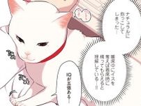 【漫画】「IQが五億ある…」甘えんぼな愛猫は離席中にイスを奪えば構ってもらえると理解していて…／愛されたがりの白猫ミコさん(3)