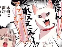 【漫画】「本当に声がデカい」愛猫は長年の野良生活でクソデカボイス＆ダミ声になっていて…／愛されたがりの白猫ミコさん(6)