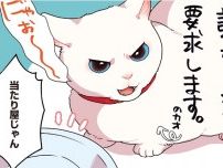 【漫画】「当たり屋じゃん」IQが五億ある愛猫はおやつをもらうためにありとあらゆる手を使うが…？／愛されたがりの白猫ミコさん(7)