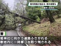 栃木県内で雨風強まる　足利織姫神社で倒木し一時道路封鎖　ＪＲ宇都宮線で遅れ