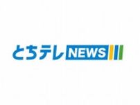 栃木県内で「車」と「クマ」の衝突事故相次ぐ　けが人なし