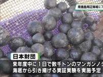 南鳥島周辺海域に７５年分のレアメタル　日本財団と東京大学の海底鉱物資源開発