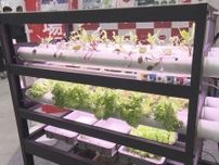 オフィスでも野菜が育つ“植物プラント”も…異業種交流展示会『メッセナゴヤ』800超の企業や団体が参加