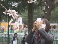 平年より4日遅く…名古屋でソメイヨシノの開花発表 鶴舞公園の花見客からは「もっと咲いてるかと…」との声も