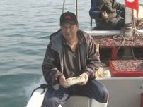 般若心経の1文字書いた小石を海へ…三重県尾鷲市で伝統行事「石経」豊漁祈願し獲った魚介類を供養