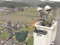 高さ14mの電柱の上に…停電の原因にもなるカラスの巣を撤去 岐阜県内では3月末までに1600個程見つかる