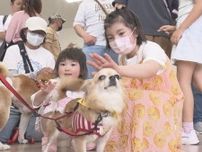 犬12匹と譲渡希望者が顔合わせ…名古屋で保護犬の譲渡会 希望者との話し合い等経て6月中旬頃に引き受け先決定