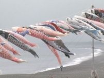 去年終了予定も若手が引き継ぐ…こどもの日を前に海岸約1kmにわたって「鯉のぼり」三重県熊野市七里御浜海岸